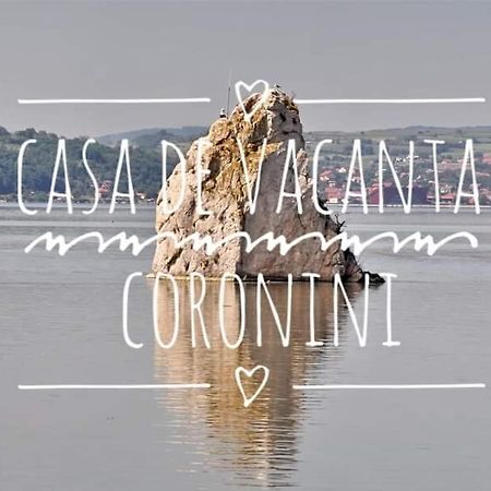 Casa De Vacanta Danube Moldova Noua Bagian luar foto