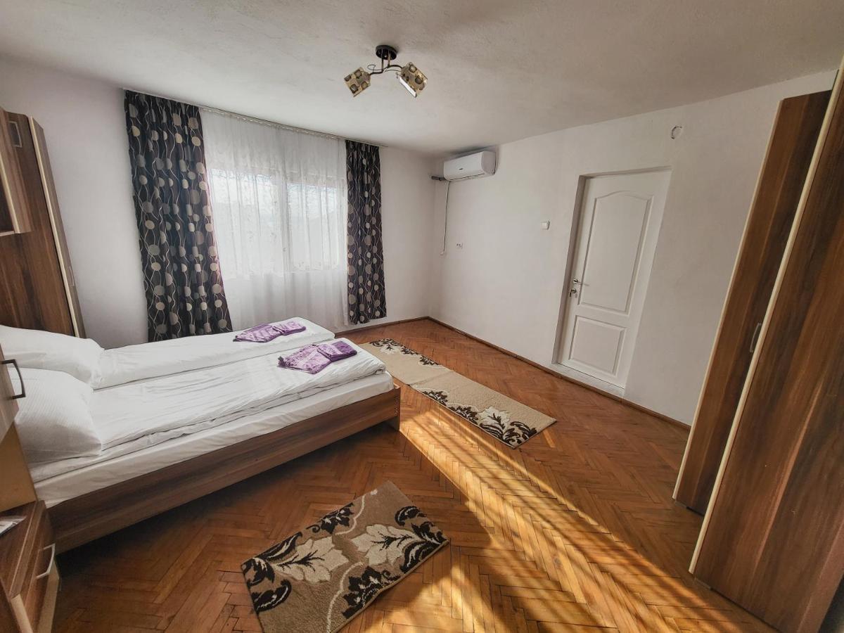 Casa De Vacanta Danube Moldova Noua Bagian luar foto